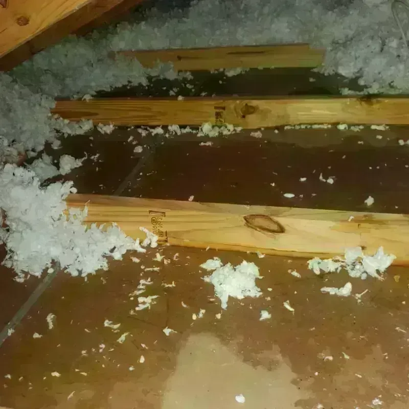 Attic Water Damage in Dickson, TN