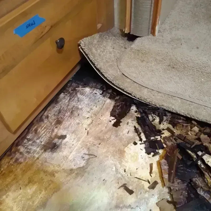 Wood Floor Water Damage in Dickson, TN